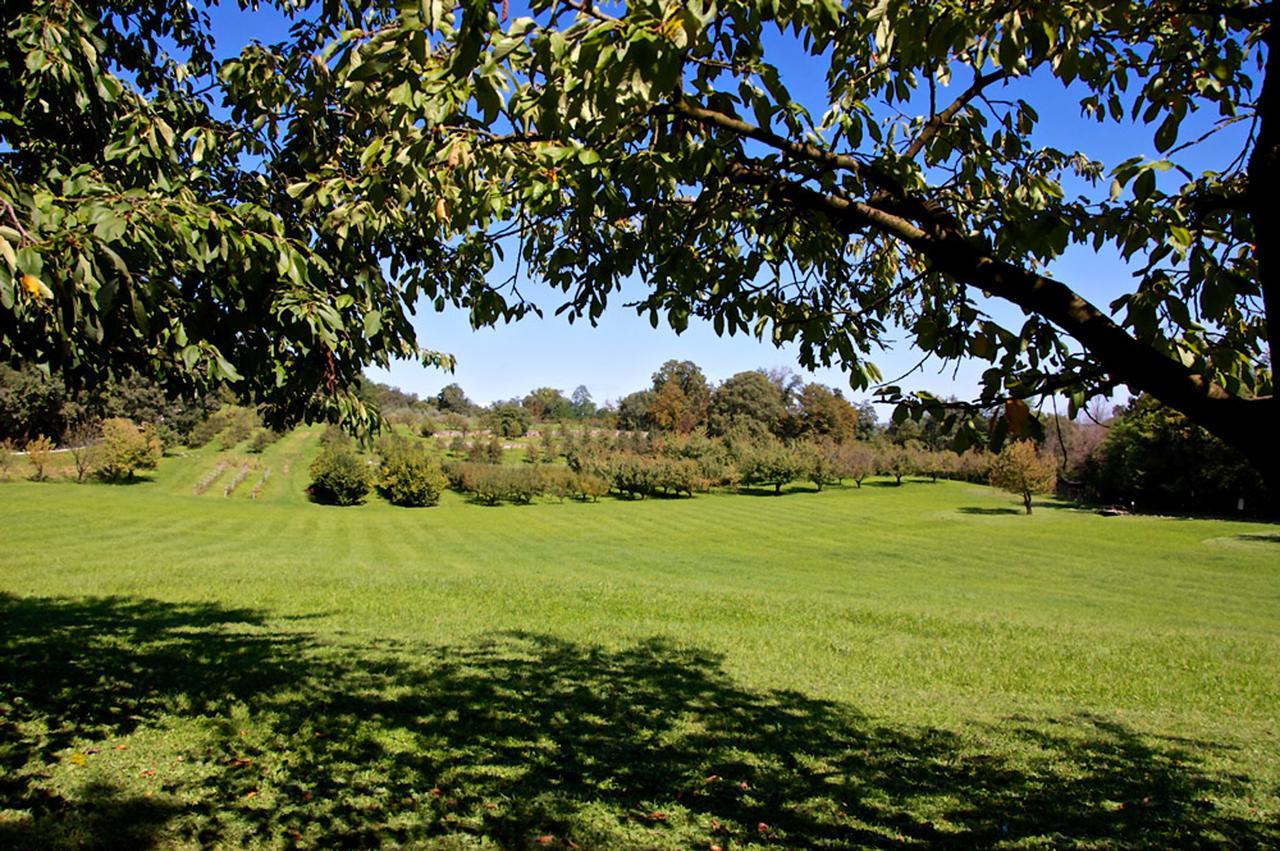 Albergo Rurale Parco Di San Floriano Polcenigo Kültér fotó