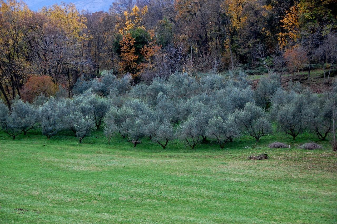 Albergo Rurale Parco Di San Floriano Polcenigo Kültér fotó